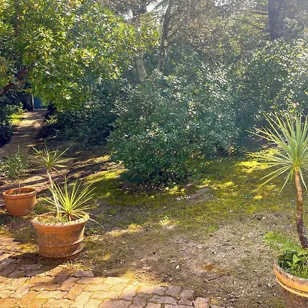 Charmante Maison Pres De La Avec Wi-fi Et Parking Prive Holiday home
