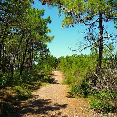 Charmante Maison Pres De La Avec Wi-fi Et Parking Prive L'Epine (Vendee)